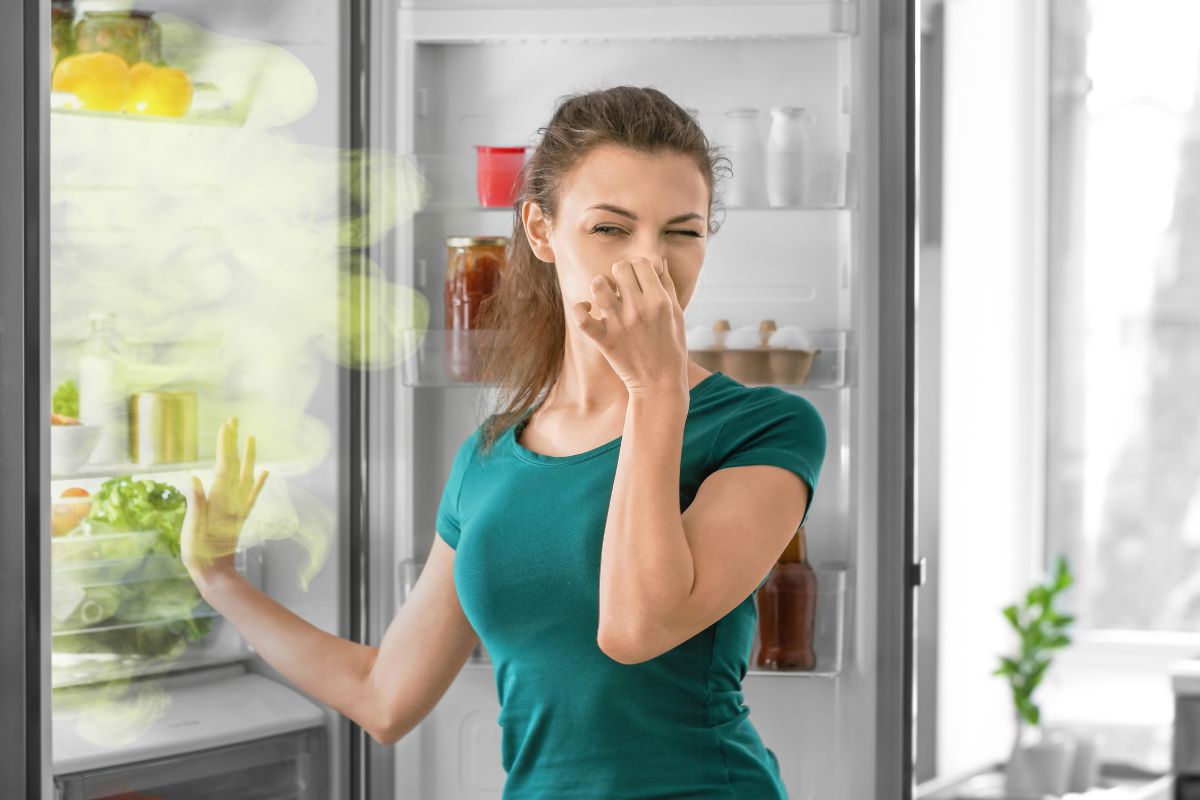 đồ ăn hư hỏng khi tủ lạnh gặp vấn đề