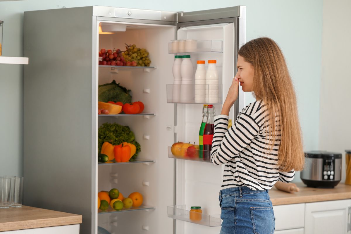 ngăn mát không đủ lạnh, khiến thực phẩm dễ bị hỏng